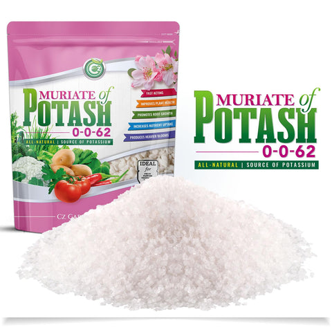 Herbs and greens thriving with CZ Garden Muriate of Potash nutrition
