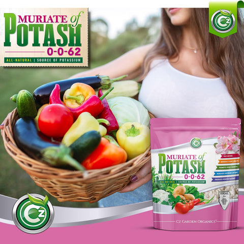 USA-made CZ Garden Muriate of Potash label on a sturdy container