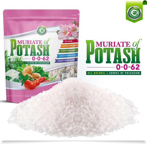 Water-soluble granules of CZ Garden Muriate of Potash ready to dissolve