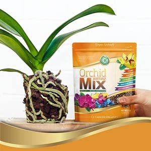 Cz Garden Orchid Potting Mix sponge rock closeup enhances porosity