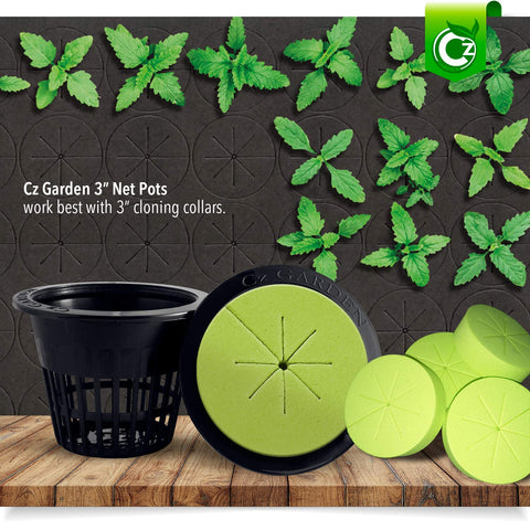 Cz Garden Supply 3-inch net cup for DWC and rapid inspection of roots