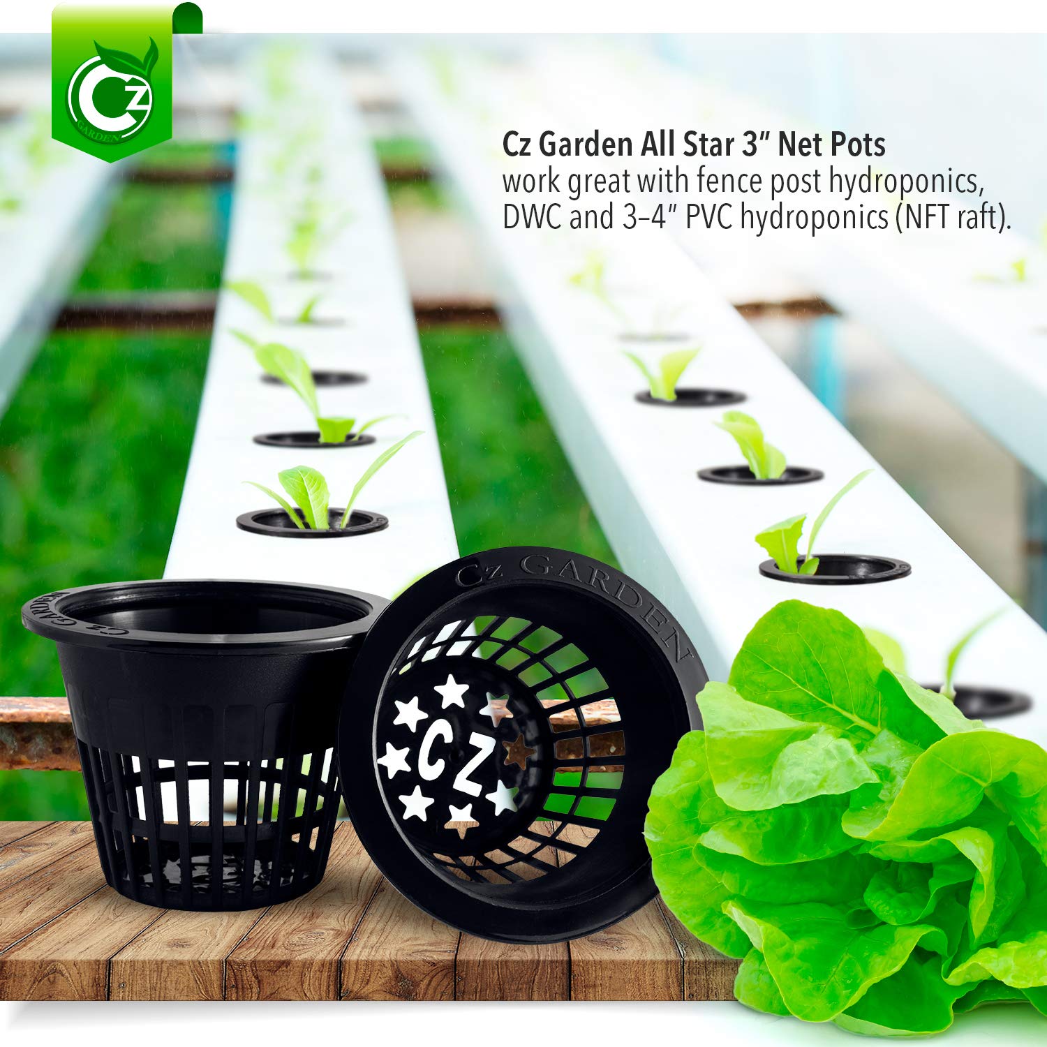 Cz Garden Supply 3-inch net cup ideal for Kratky by slotted mesh