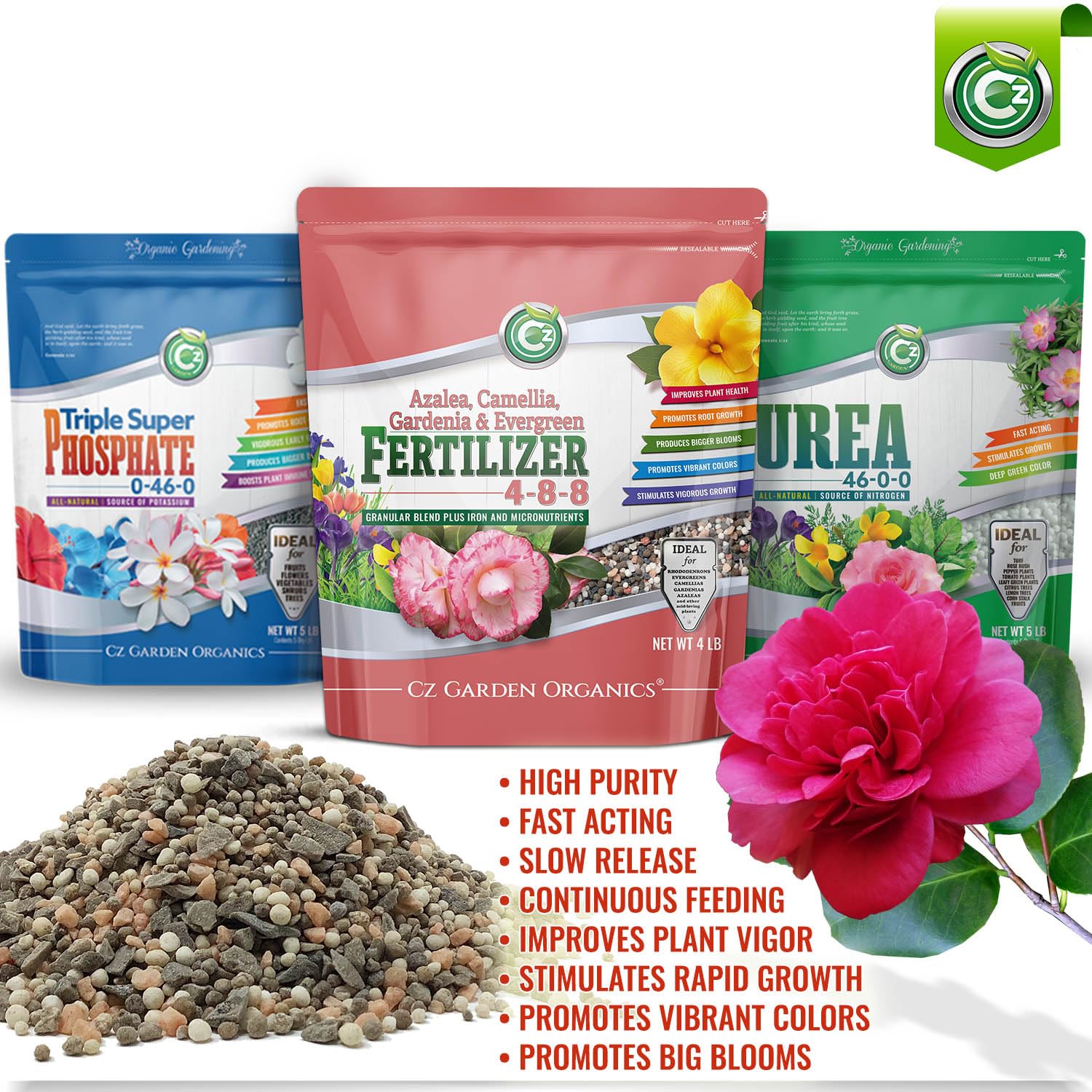 Cz Garden Supply 4-8-8 Camellia fertilizer applied to potted camellias for vibrant indoor blooms.