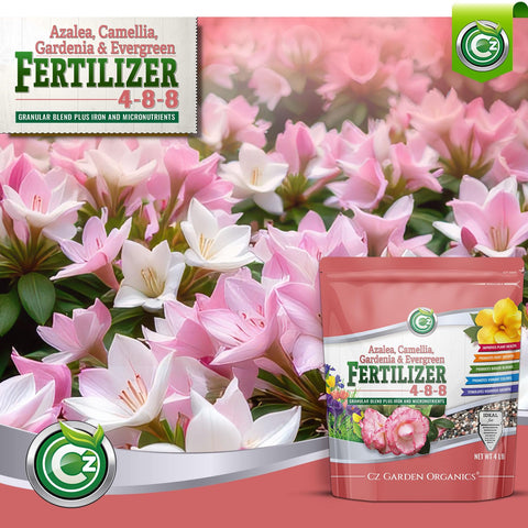 Cz Garden Supply 4-8-8 Evergreen fertilizer supports lush color and growth on evergreens.