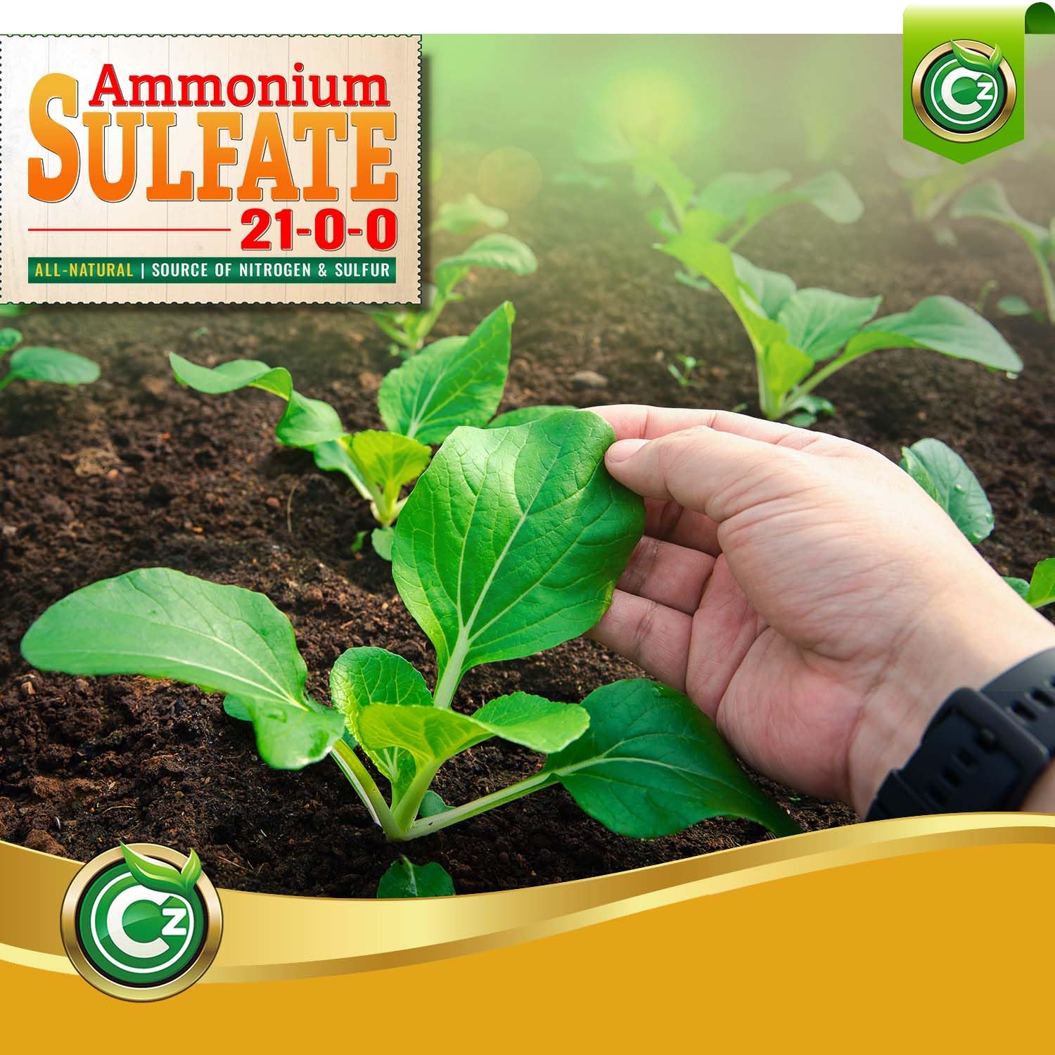 Flowers and vegetables fed with Cz Garden Supply balanced nutrition.