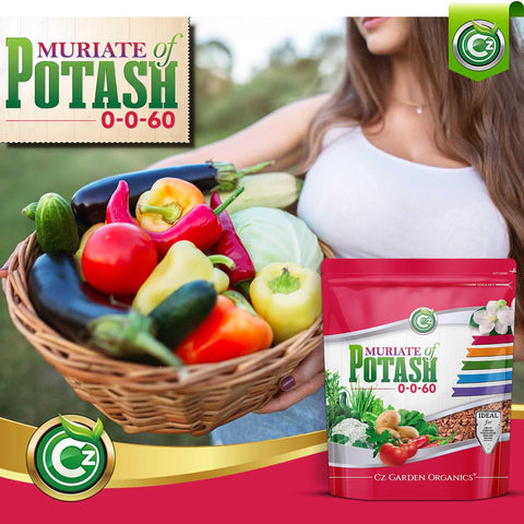 Cz Garden Supply Muriate of Potash enhances flowering and fruit potential.