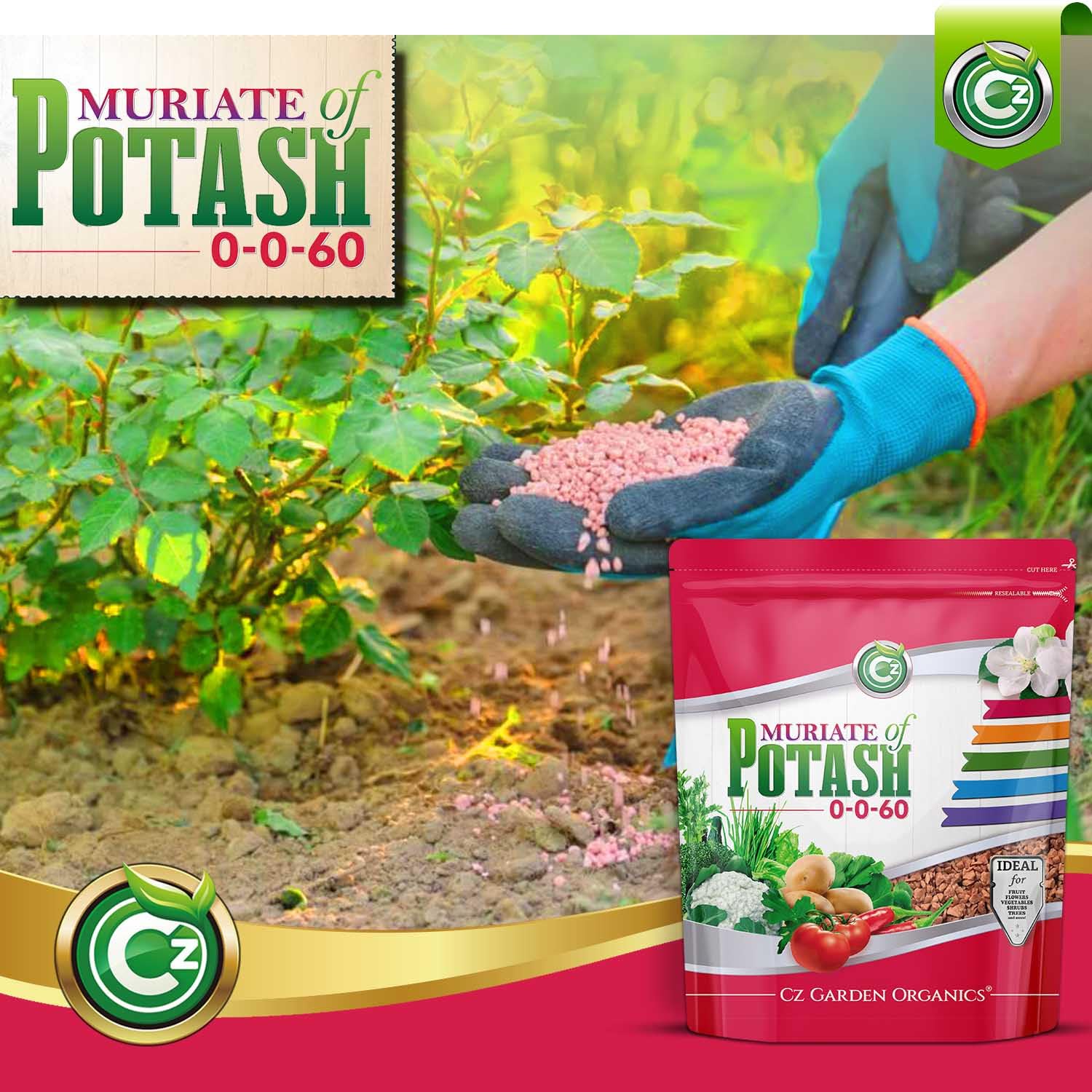 Cz Garden Supply Muriate Potash supports fruit and vegetable yields.