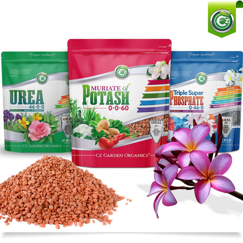 Cz Garden Supply Muriate Potash lawn application promotes healthier turf and stronger growth.