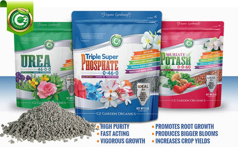 Cz Garden Supply blooms in focus image illustrating bigger blossoms from targeted phosphorus