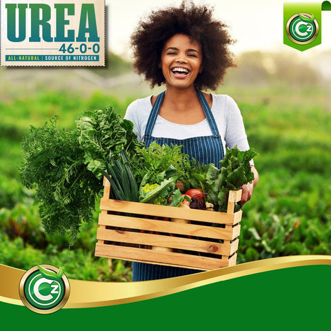 Cz Garden Supply USA-made urea fertilizer delivers consistent nitrogen for steady growth