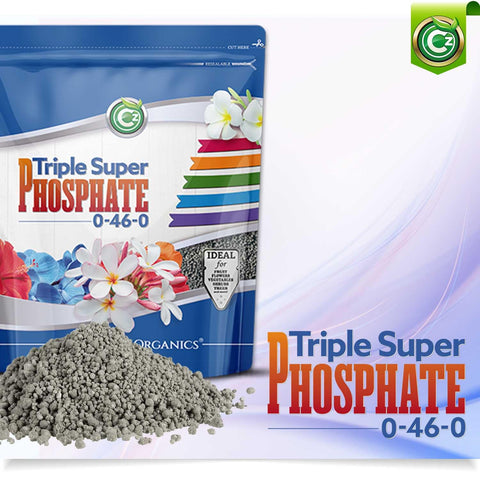 Bloom closeup shows Cz Garden Triple Super Phosphate 0-46-0 supporting blossoms.