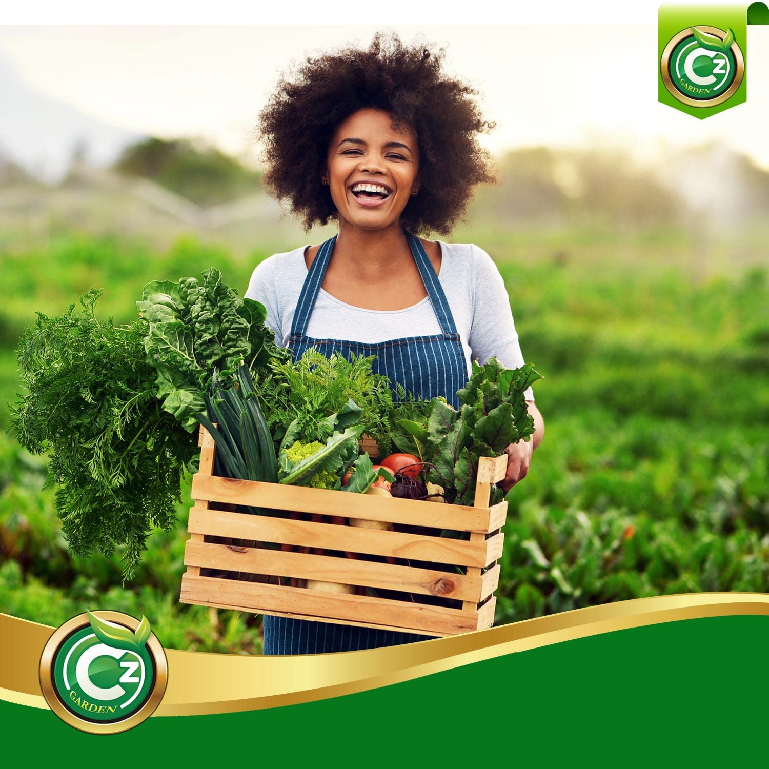 Cz Garden Urea applied to lawn and garden for robust growth