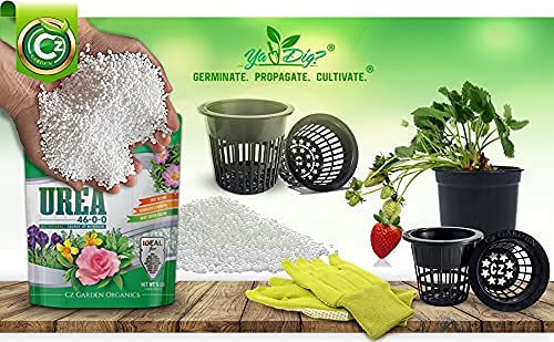 Cz Garden Urea tie-dye application potential adds color for crafts