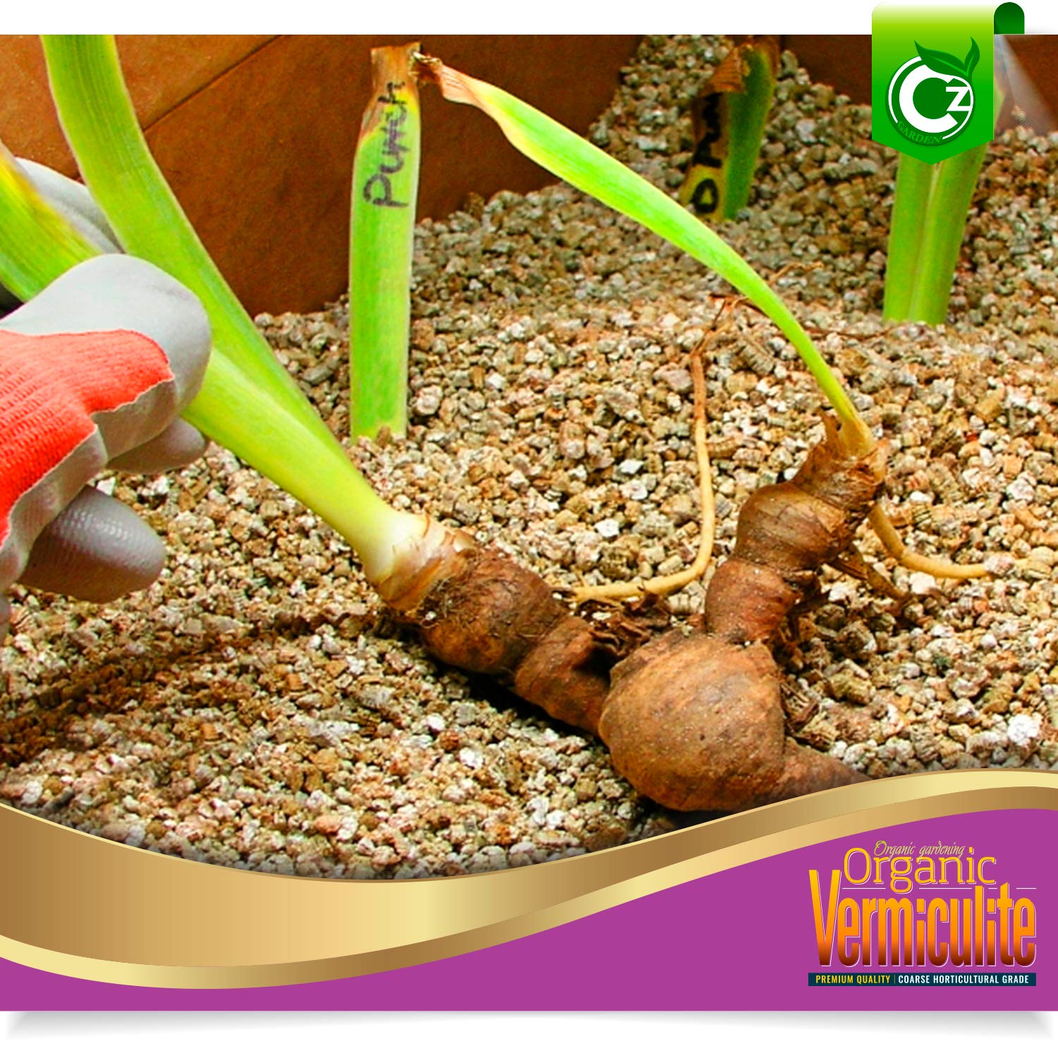 Cz Garden Vermiculite in soil-mix setup improves texture and aeration.