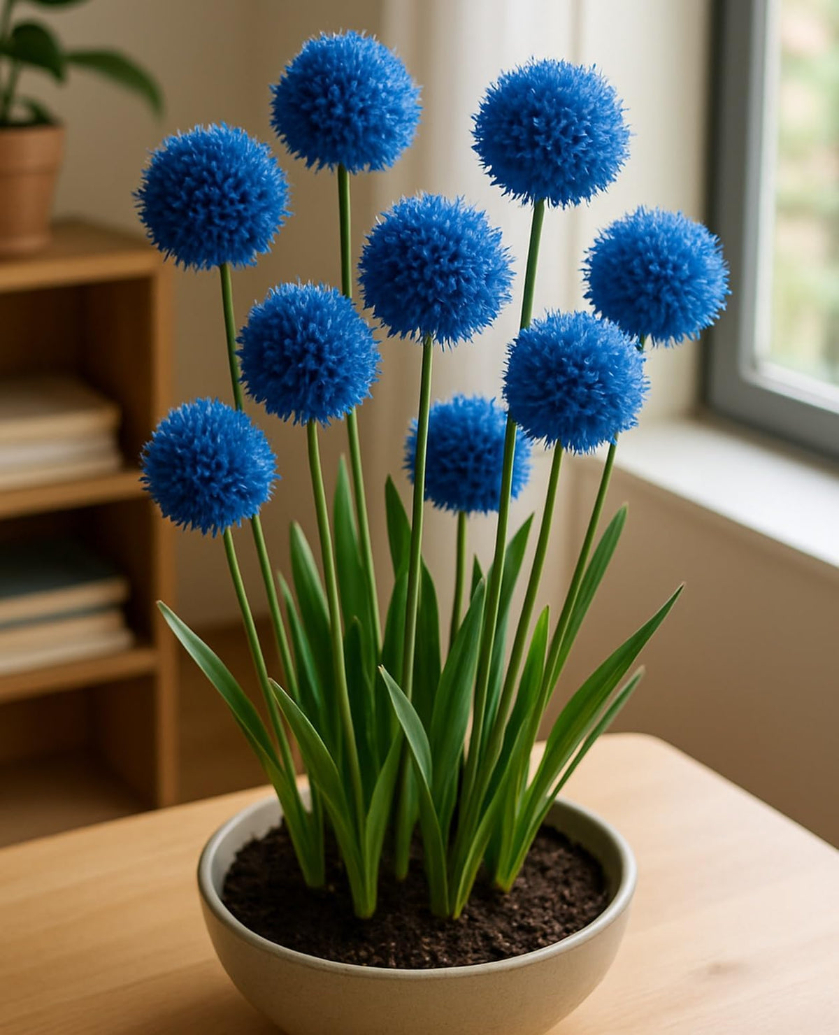 CZ Grain blue allium bulbs deliver a dramatic indoor bloom.