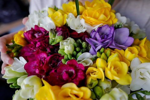 CZ Grain Double Freesia bulbs packed with care for spring planting