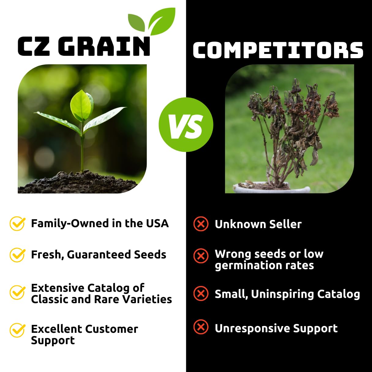 CZ Grain Dwarf Lemon Bonsai Seeds nutrient-rich soil mix for healthy start