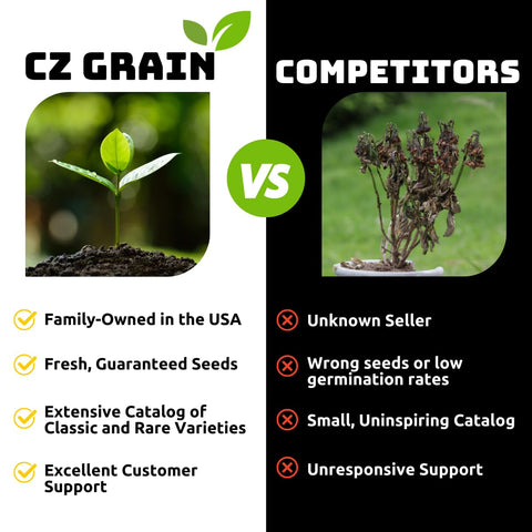 CZ Grain Dwarf Lemon Bonsai Seeds nutrient-rich soil mix for healthy start