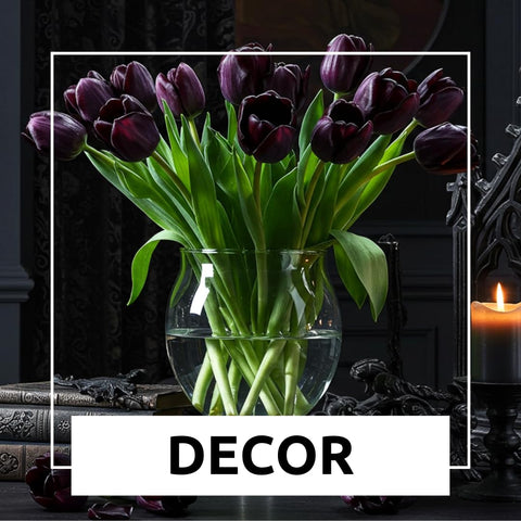 CZ Grain early spring bloom colors brightening indoor spaces.