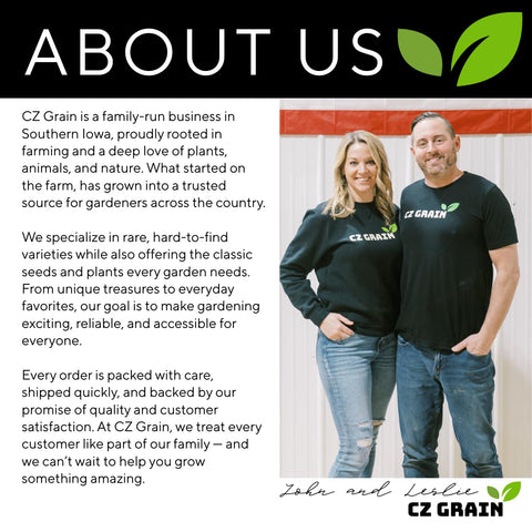 CZ Grain easy-to-care bamboo ideal for DIY landscaping projects.