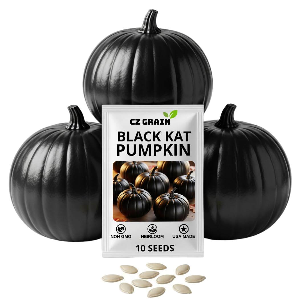 CZ Grain Exotic Black Kat seeds pack for striking fall color in gardens