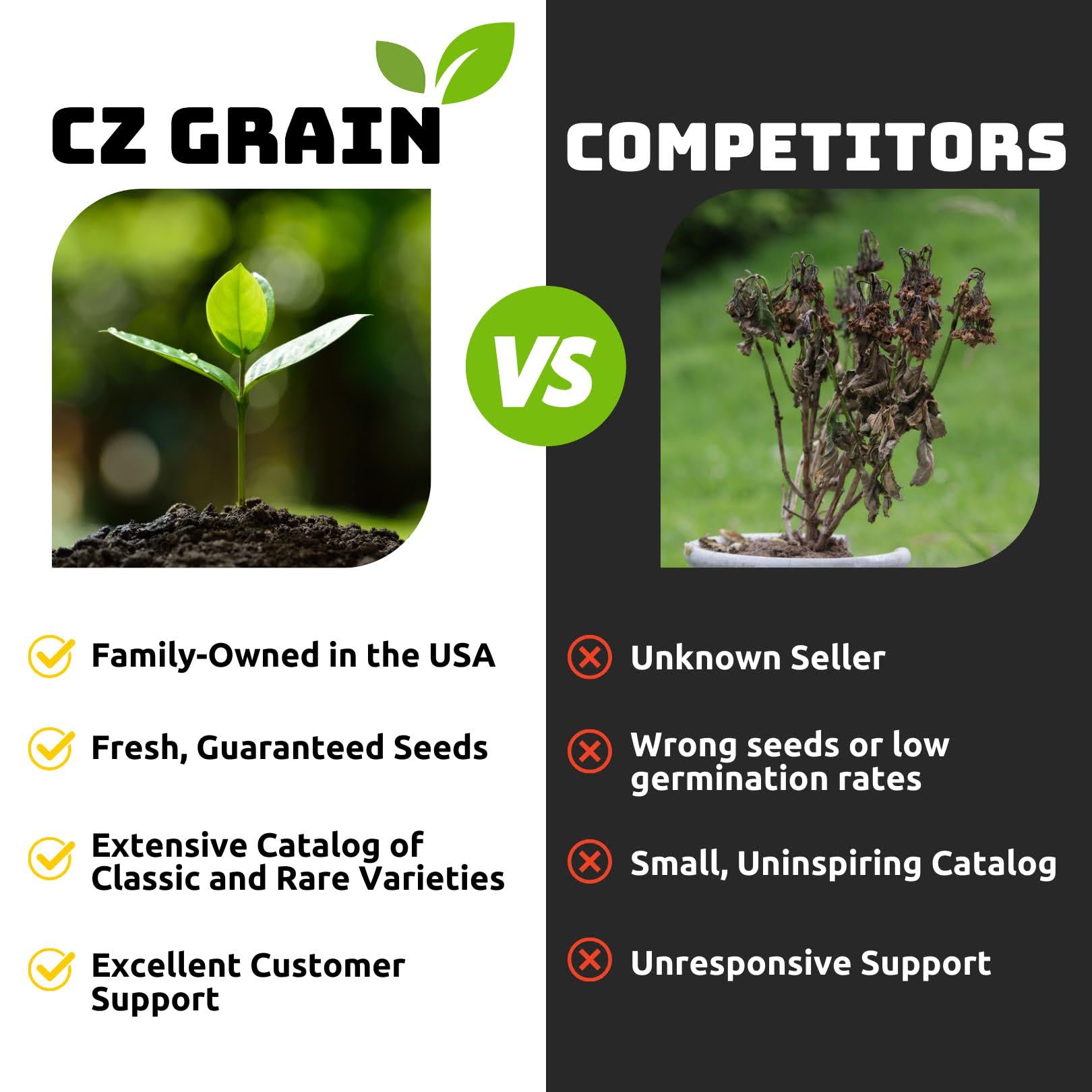 CZ Grain Gladiolus bulbs care instructions-friendly planting tips help beginner gardeners succeed.