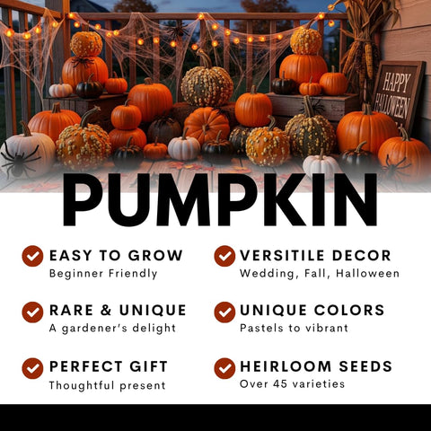 CZ Grain Porcelain-doll-inspired pumpkins add whimsical charm to gardens and windowsills