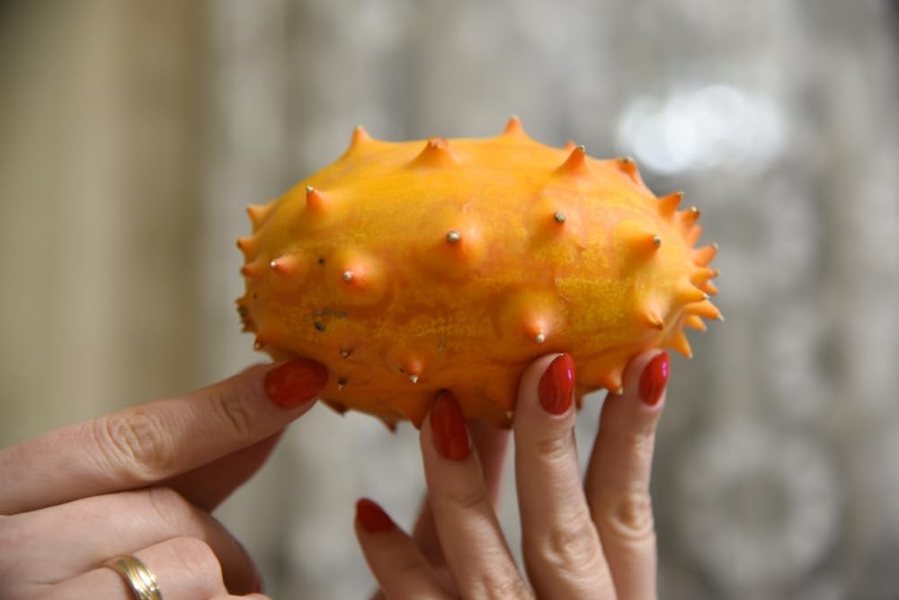 CZ Grain honeydew like jelly melon close up highlights fragrant aroma.