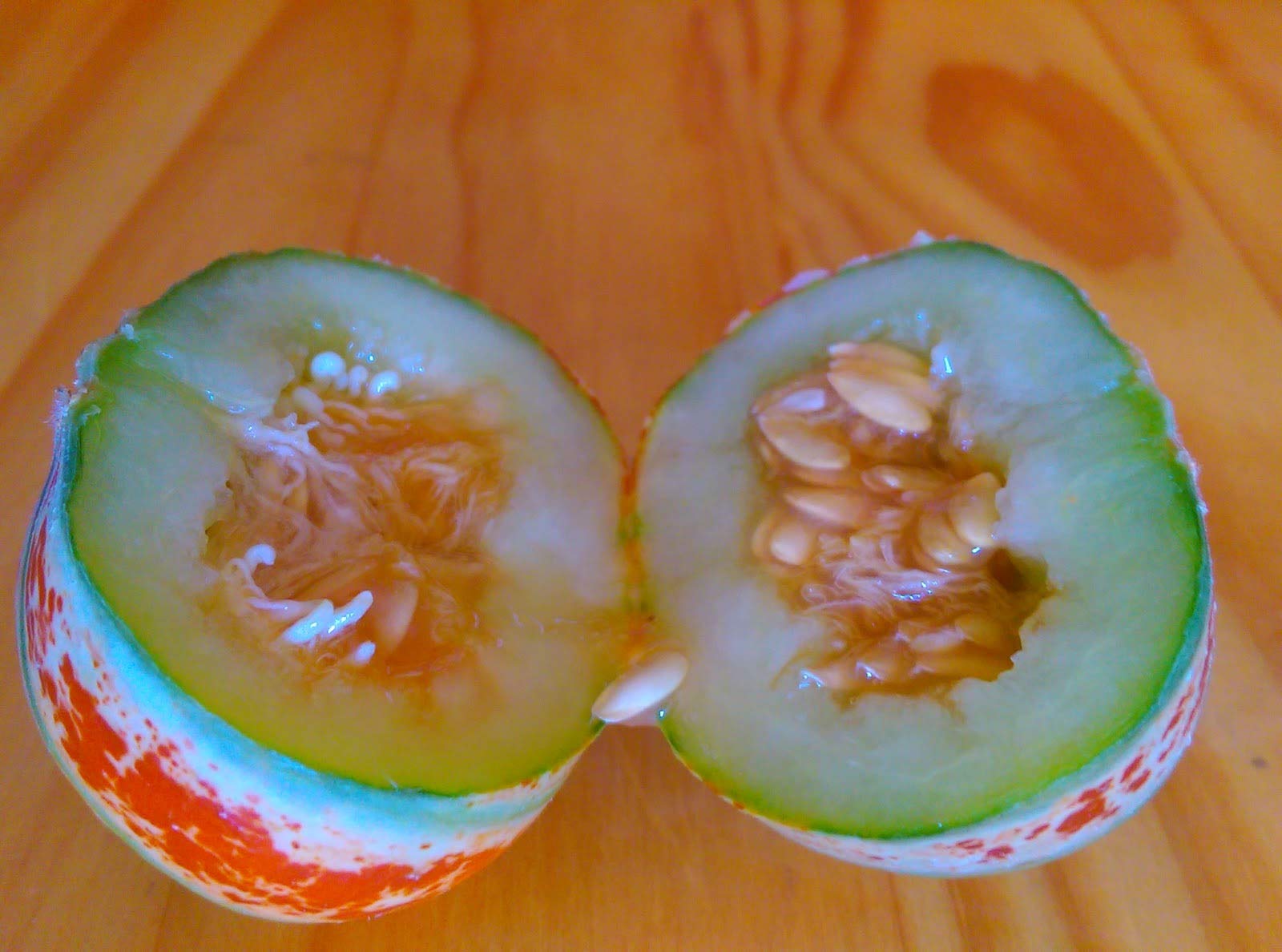 CZ Grain Kajari melon skin close-up shows bright stripes and a unique harvest idea.