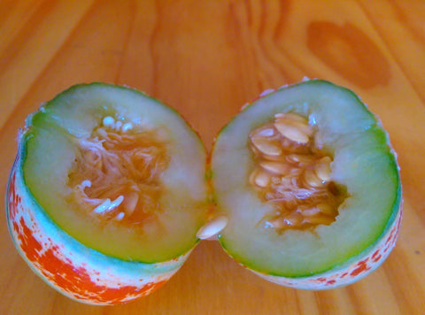 CZ Grain Kajari melon skin close-up shows bright stripes and a unique harvest idea.
