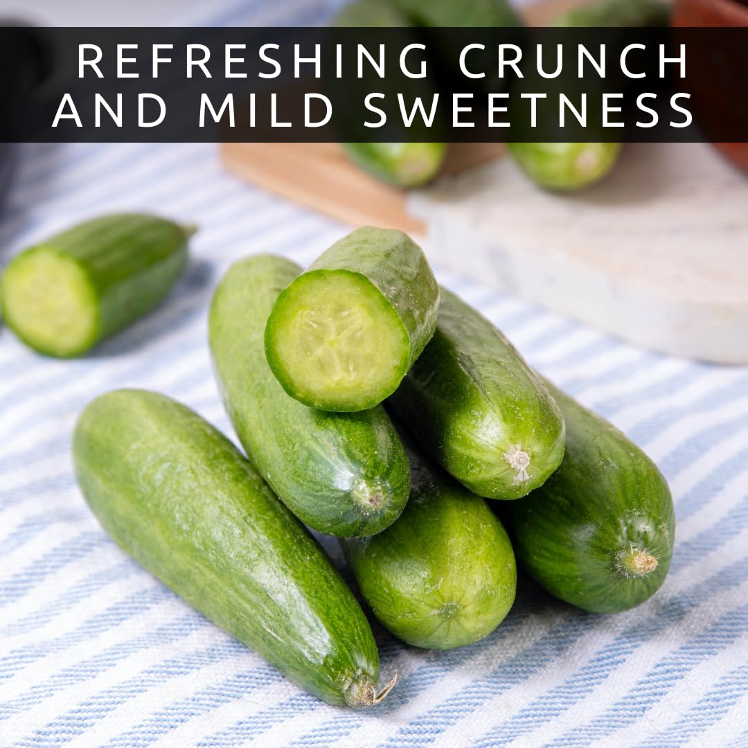 Crisp Mini Me cucumbers ideal for salads and quick meals.