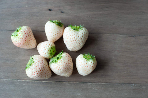 CZ Grain pineberry plant leaves illustrate healthy growth and foliage.