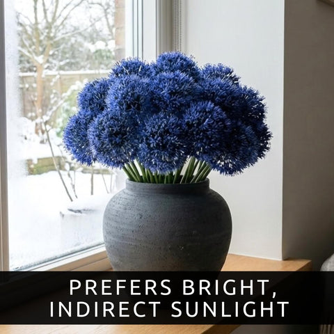 Pre-chilled indoor forcing with CZ Grain bulbs for quick color.