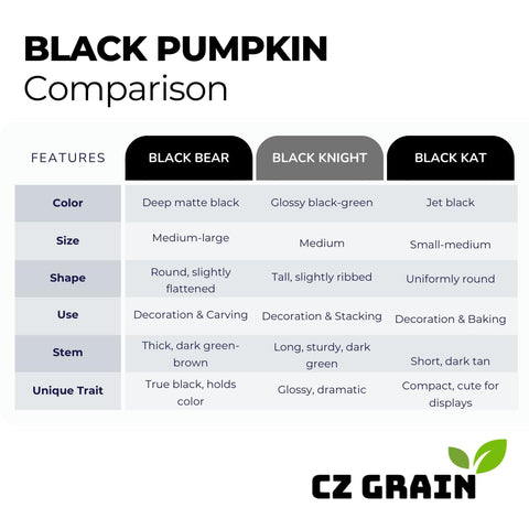 CZ Grain Pumpkin size 6-10 inches ideal for porch decor