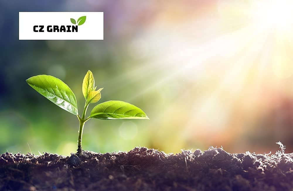 CZ Grain rare seeds availability signals unique planting opportunity.