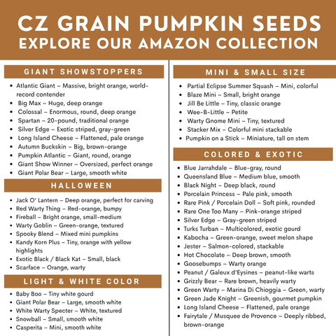 CZ Grain planting steps help beginners plan sowing.