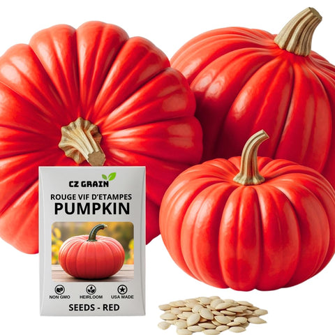 CZ Grain Rouge VIF d'Étampes seeds pack front ready for fall planting.