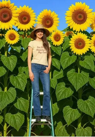 CZ Grain Skyscraper Sunflower Seeds display a large bloom for a dramatic garden focal point.
