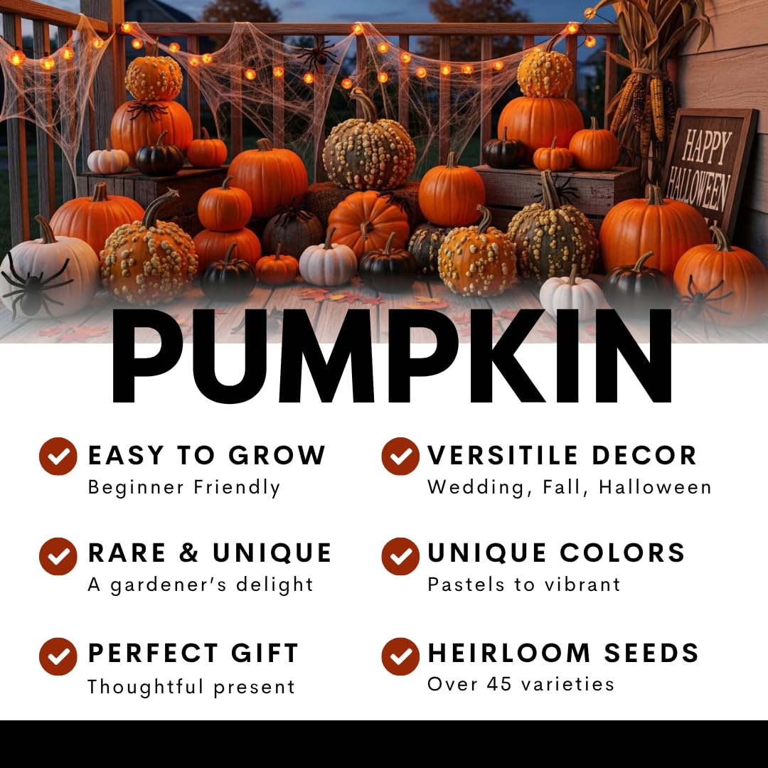 CZ Grain white ghost jack-o-lantern display for fall decor