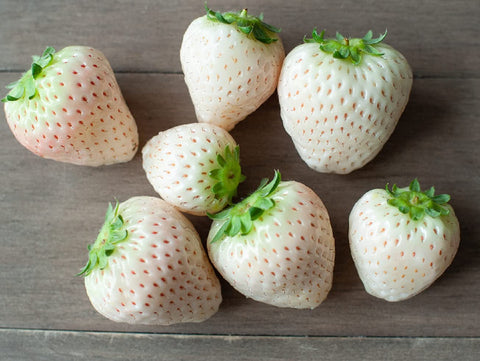 CZ Grain white strawberry seeds bag ready for home garden planting.