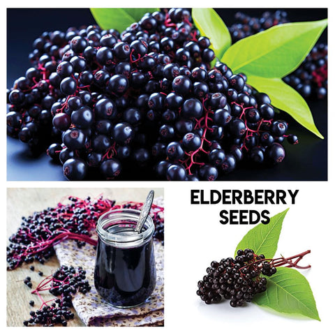 CZ Grain white strawberry seeds pack close up for unique garden berries