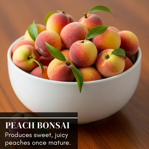 CZ Grain seeds sprouting into peach tree, showcasing fast growth.