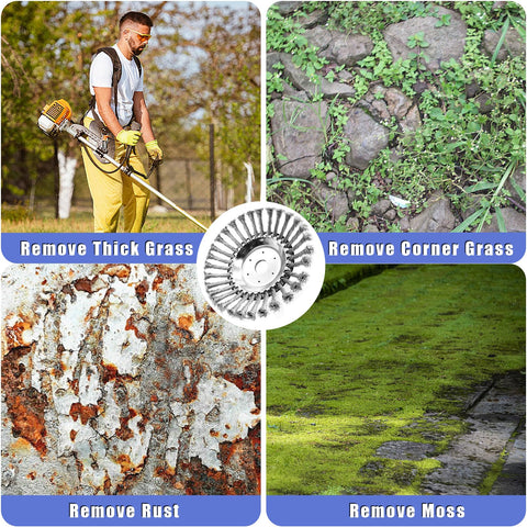 CZS tool for moss and weed cleanup on sidewalks