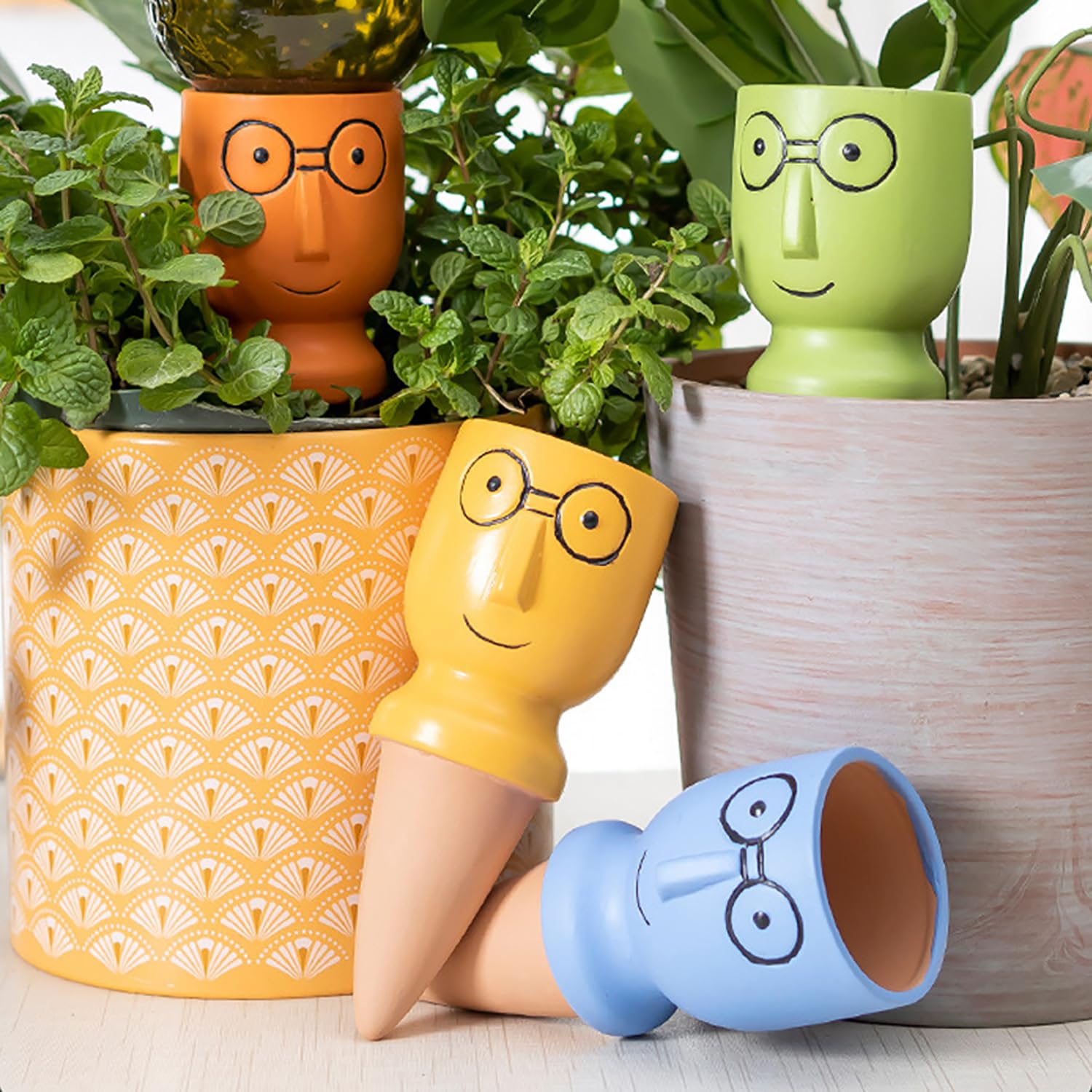 CZWL&HG slow-release watering system supporting healthy potted plants.