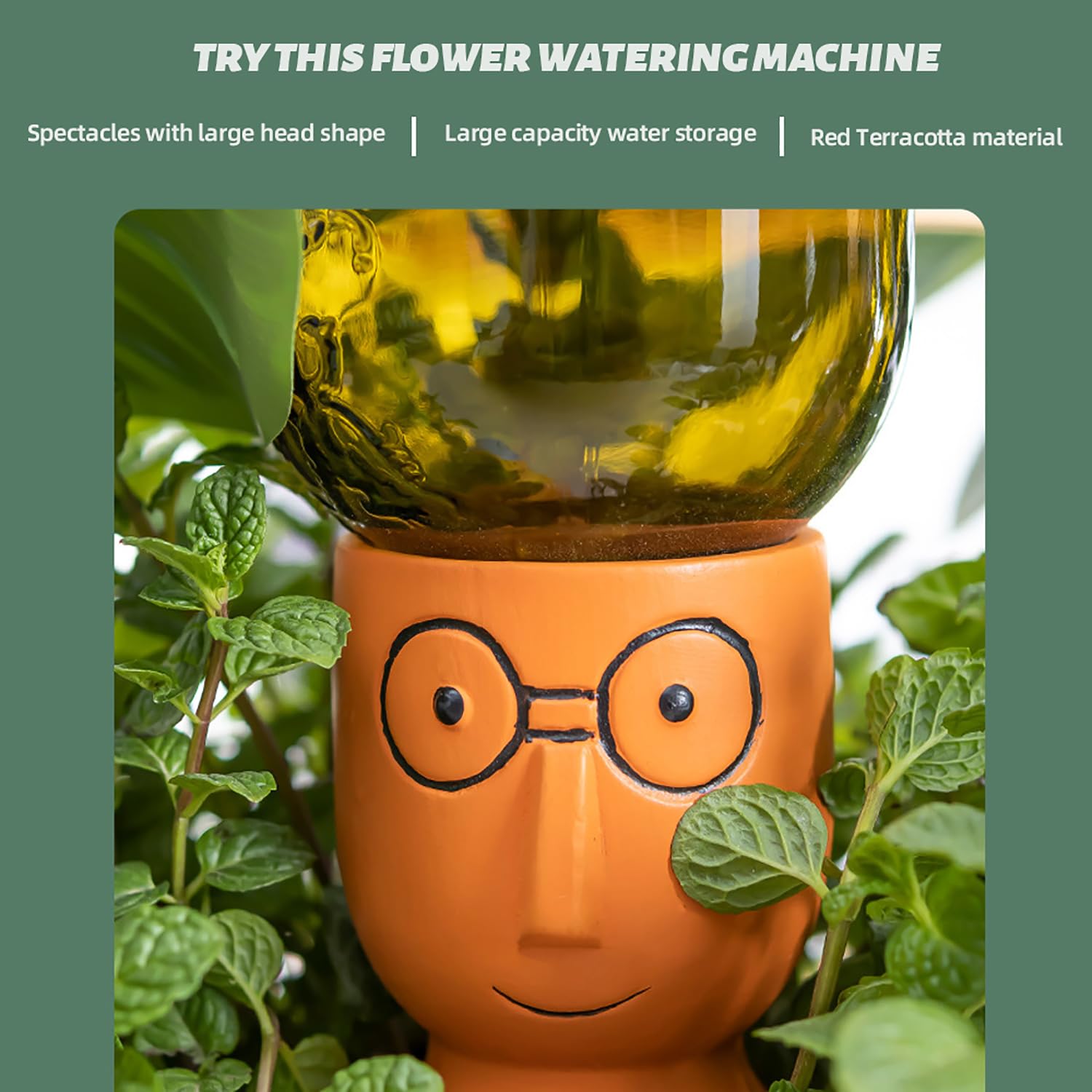 CZWL&HG big-head terra spikes design adding charm to planters while watering.