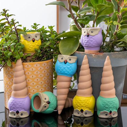 CZWL&HG Packaged owl spikes adding charm to planters