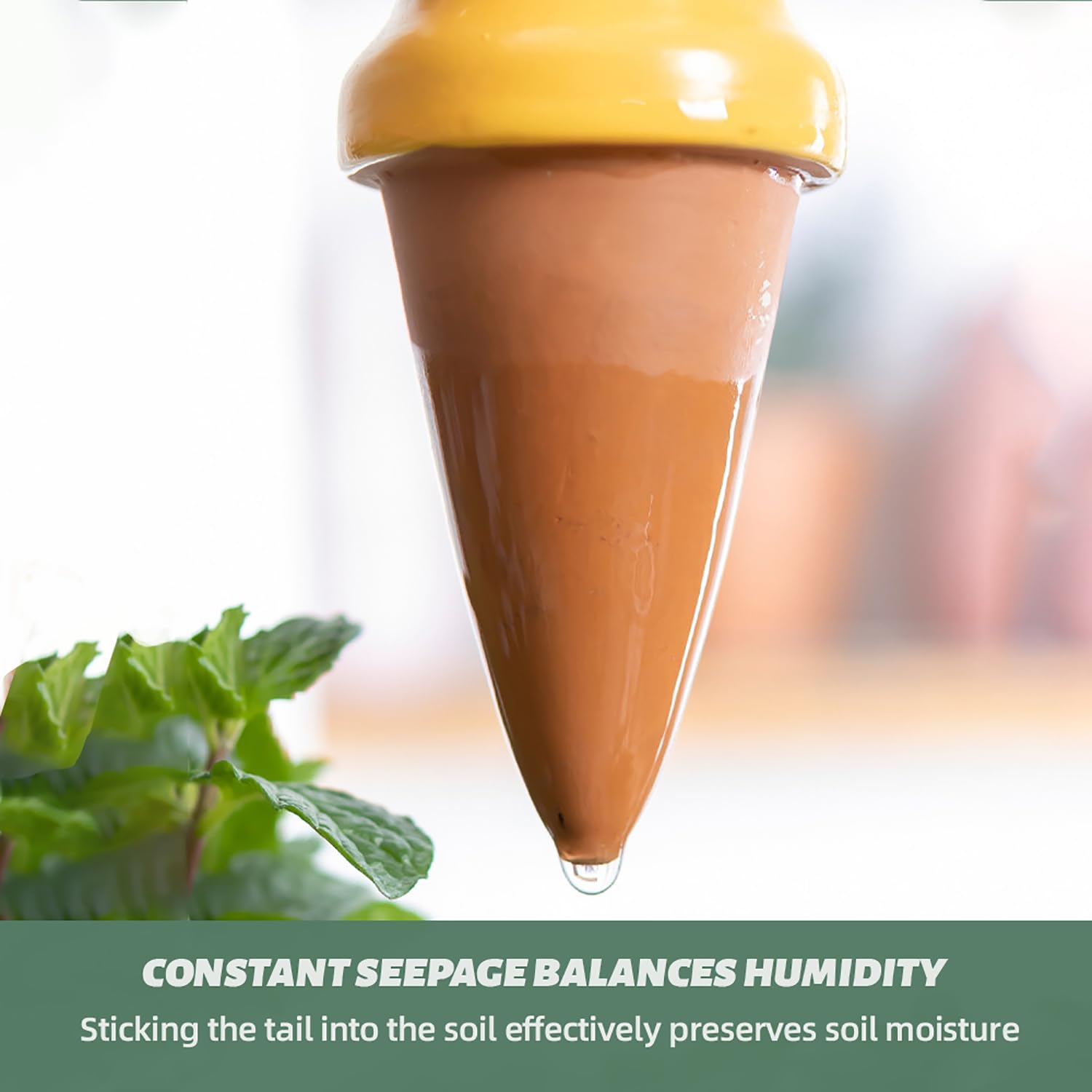 CZWL&HG four-pack watering stakes simplify plant care with steady moisture delivery.
