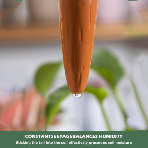 CZWL&HG slow-release watering system promotes steady soil moisture for thriving indoor plants.