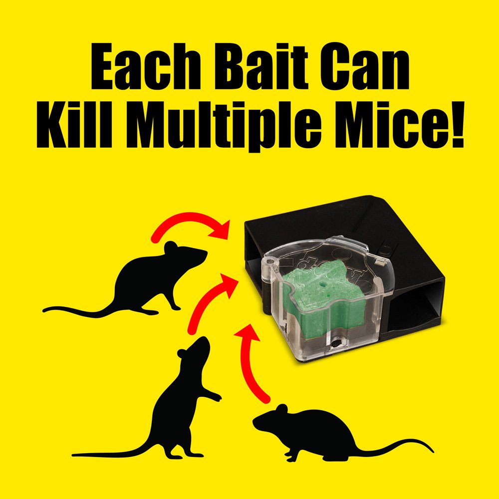 Three disposable bait stations included with d-CON package