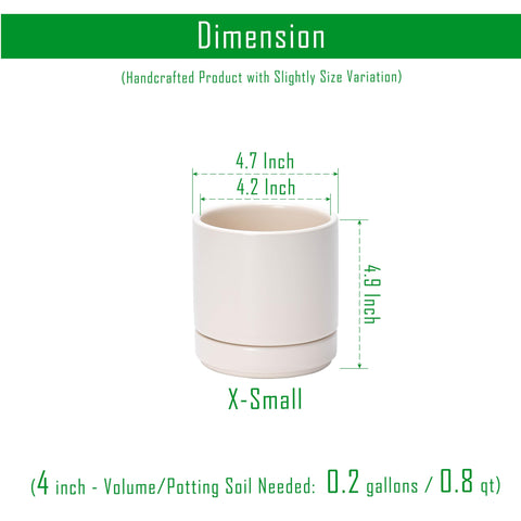 D'vine Dev ceramic planter with saucer in oatmeal, ready for indoor display.